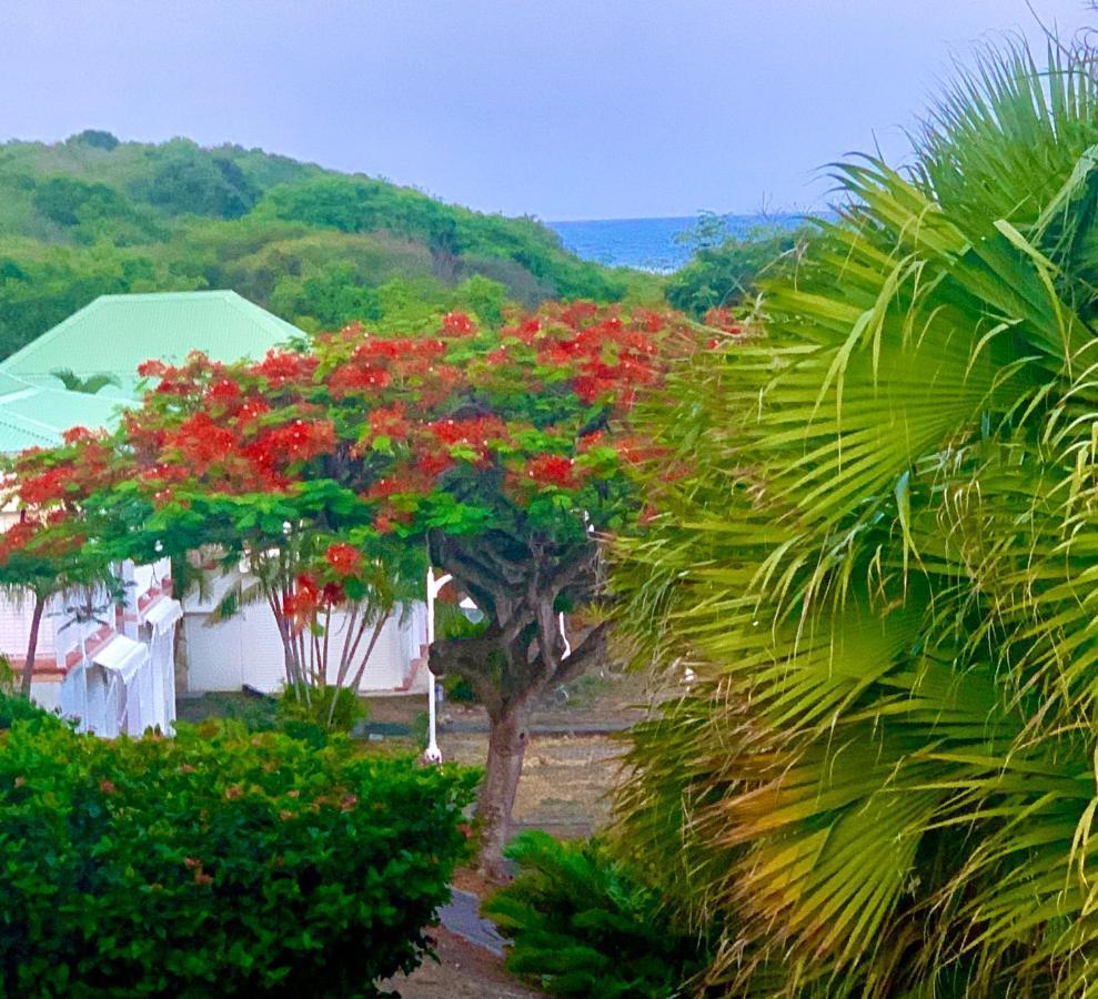 Le Titouloulou 1023 Anse Des Rochers Saint-Francois  Exterior foto